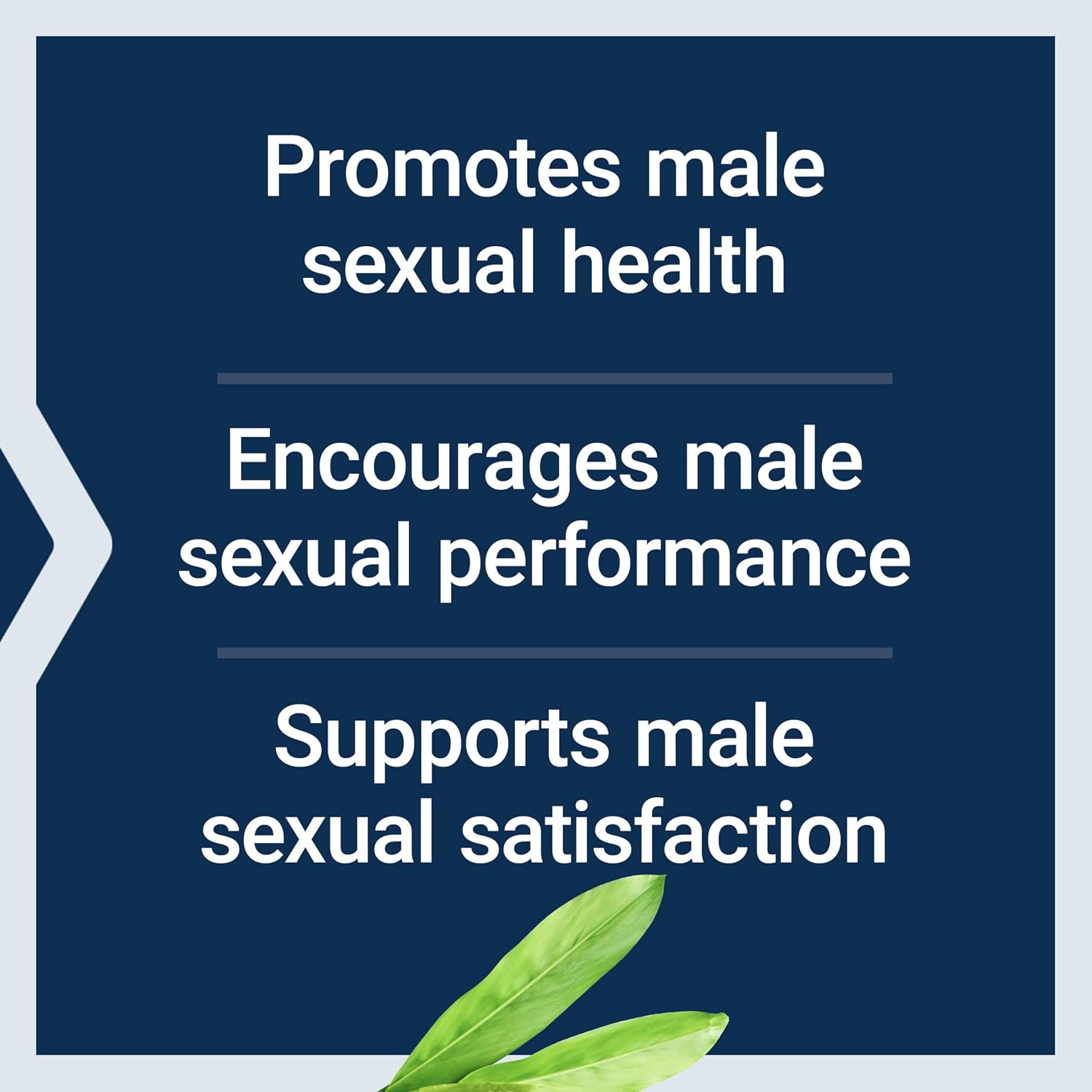 Life Extension Male Vascular Sexual Support, Jengibre Negro, 30 Cápsulas Vegetarianas