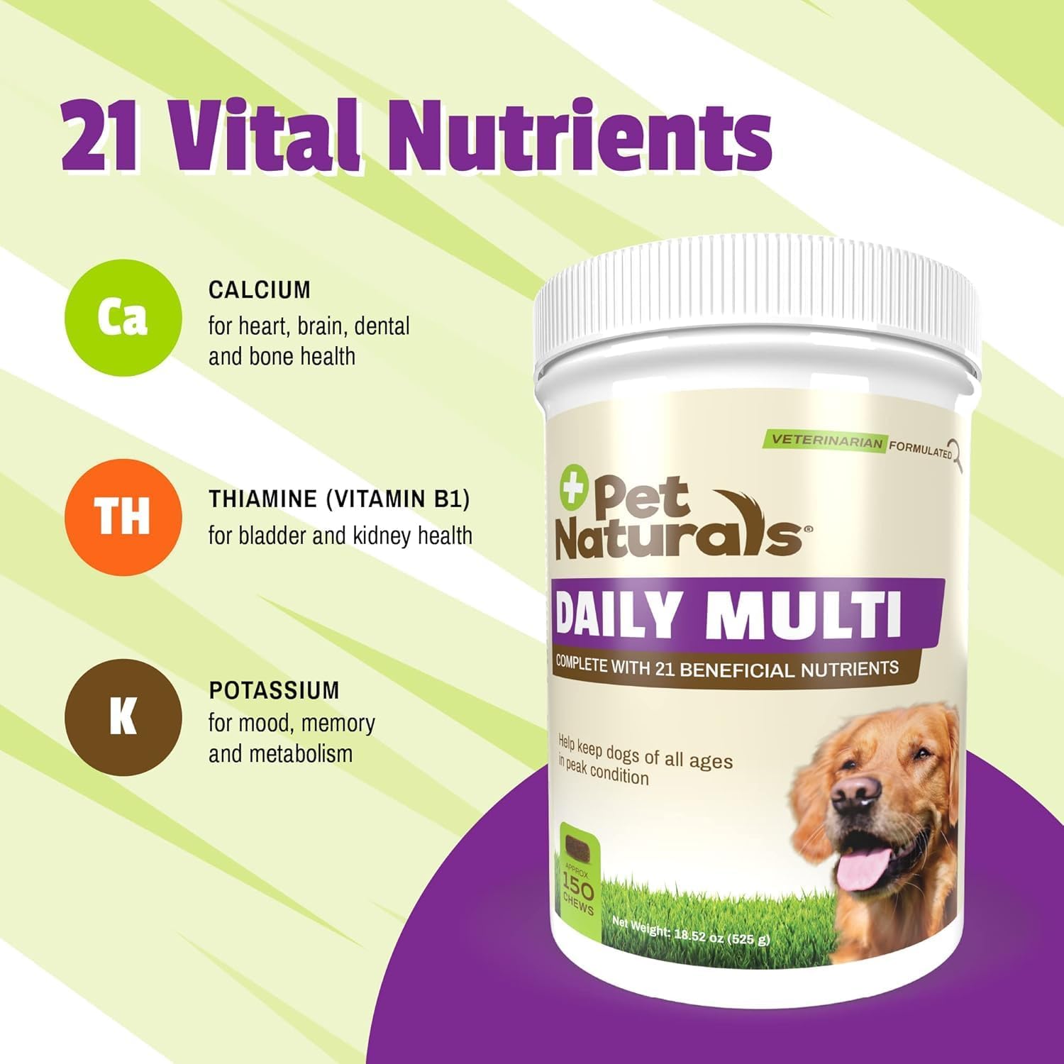 Pet Naturals Multivitamínico Diario para Perros - 21 Nutrientes Esenciales, Ácidos Grasos y Antioxidantes - 150 Comprimidos Blandos Sabor Vegetal