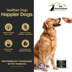K9-Innovations Probióticos para Perros - Salud Digestiva e Inmunitaria, 2 Billones de UFC, Enzimas + Probióticos, Sabor Pollo, 120 Masticables