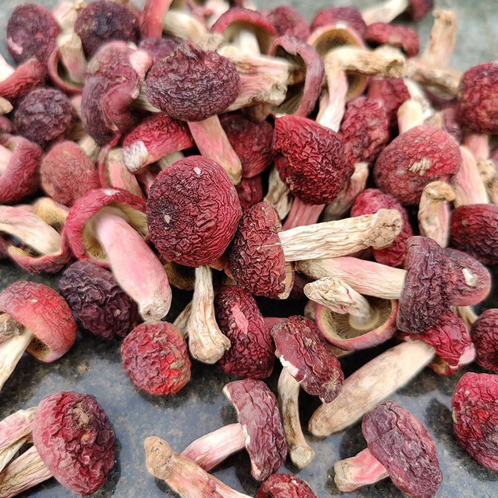 Dried Russula Red Mushroom Honggu (500g)