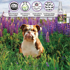 Spray de Aromaterapia Relajante para Perros - The Blissful Dog (82ml)