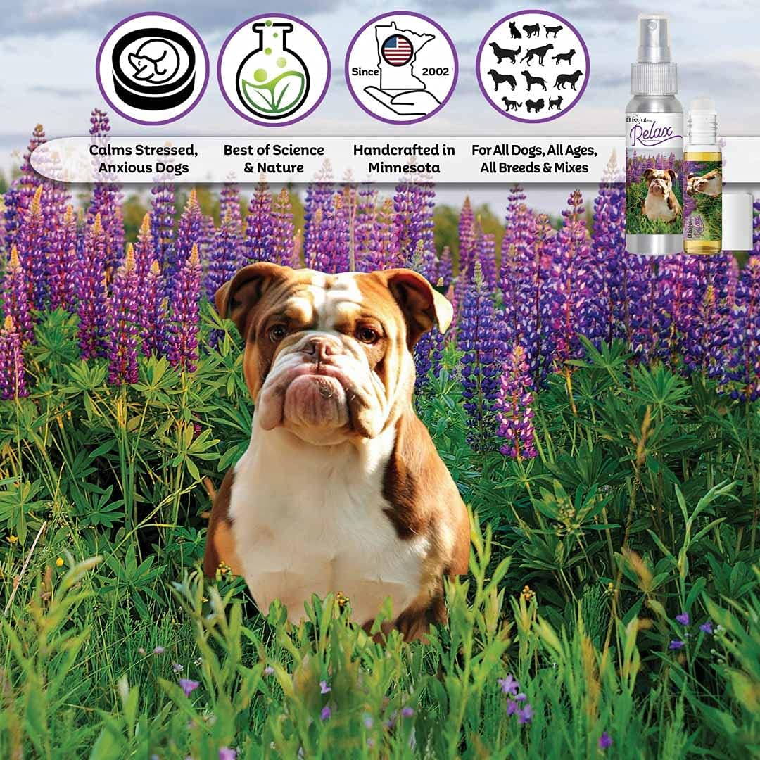 Spray de Aromaterapia Relajante para Perros - The Blissful Dog (82ml)