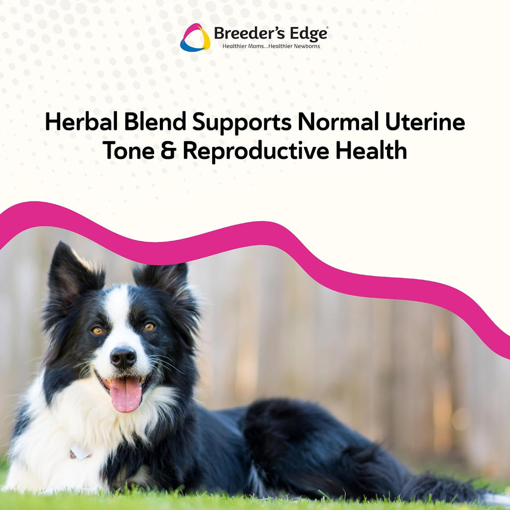 Breeder's Edge Oxy Mate Prenatal Vitamins for Dogs & Cats - Soft Chews with Iron, Folic Acid & Zinc - 60 Count