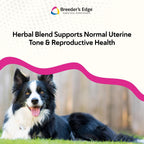 Breeder's Edge Oxy Mate Prenatal Vitamins for Dogs & Cats - Soft Chews with Iron, Folic Acid & Zinc - 60 Count