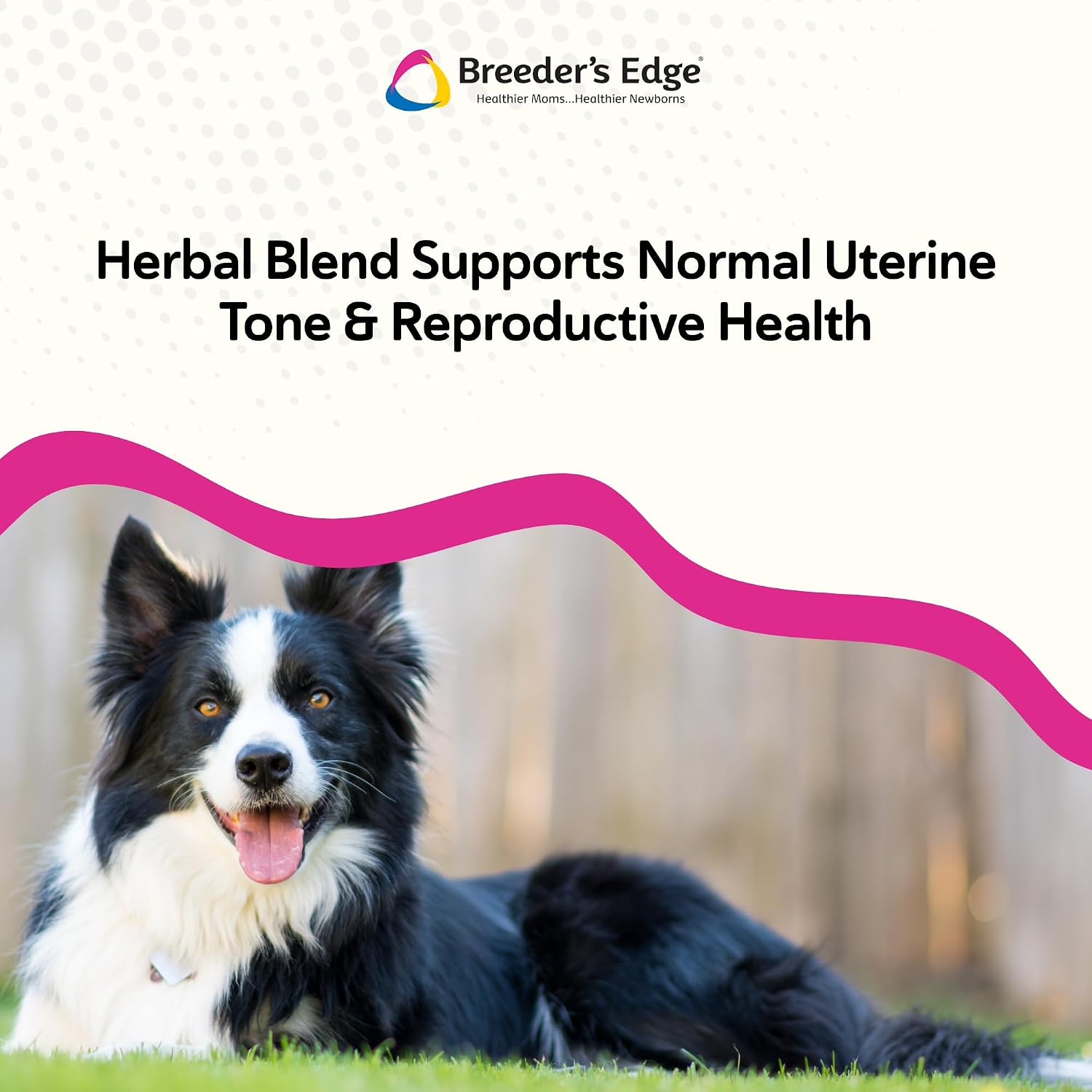 Breeder's Edge Oxy Mate Prenatal Vitamins for Dogs & Cats - Soft Chews with Iron, Folic Acid & Zinc - 60 Count