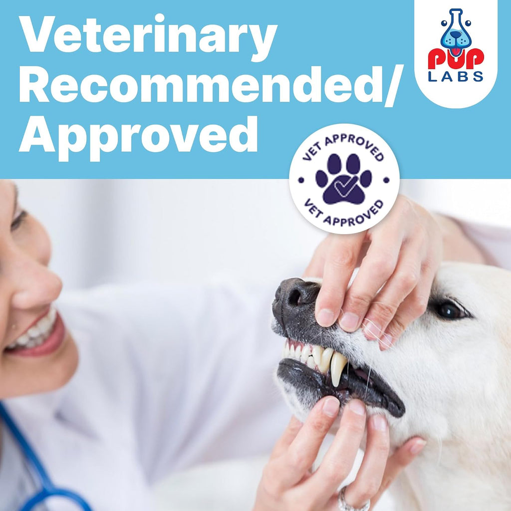 Pup Labs ProDenta - Polvo Natural para Eliminar Sarro y Mal Aliento en Perros, 180 Cucharadas