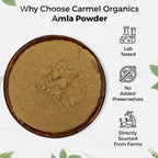 CARMEL ORGANICS Amla/Amlaki Fruit Powder (226 g)