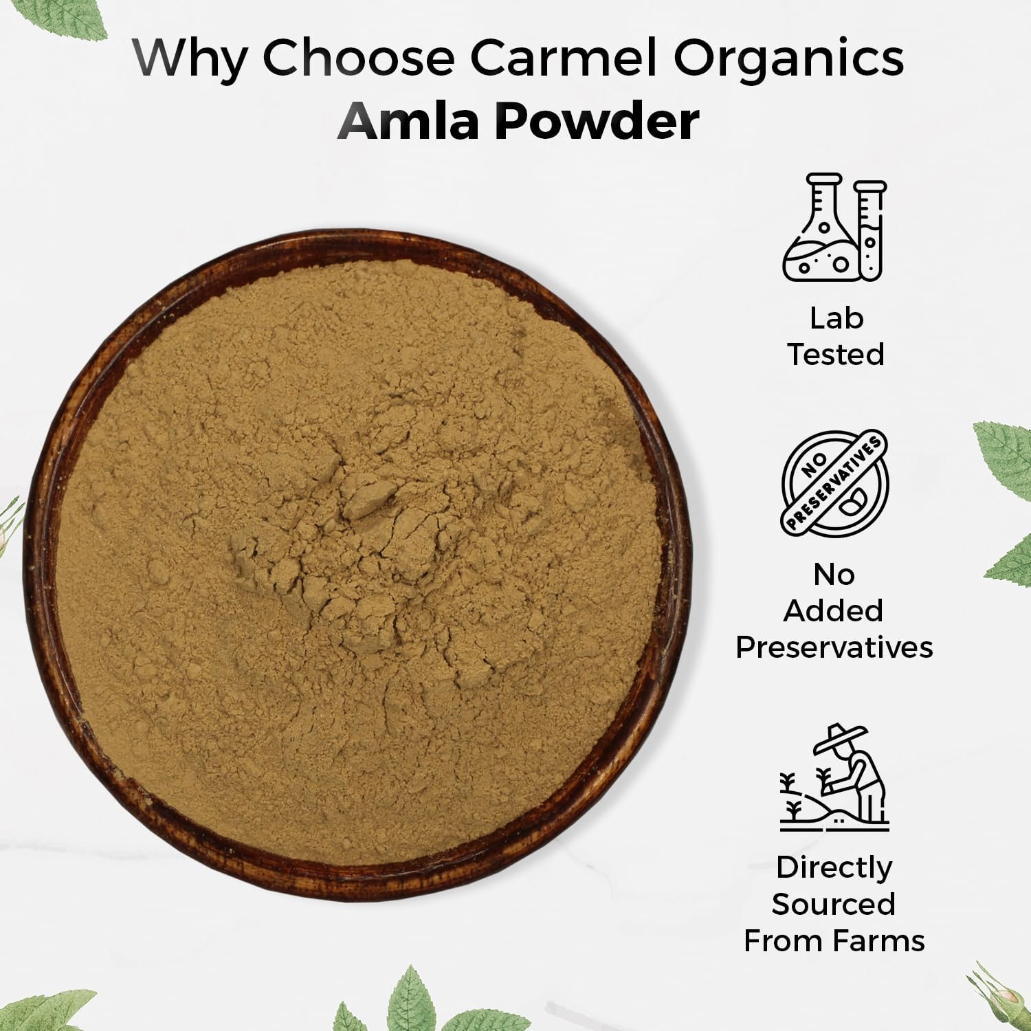 CARMEL ORGANICS Amla/Amlaki Fruit Powder (226 g)