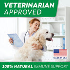 STRELLALAB Masticables para Alivio de Alergias y Picor en Perros con Omega 3: Apoyo para Piel y Pelaje con Aceite de Pescado, Calabaza y Enzimas para Perros y Gatos — Sabor Pollo BBQ - 180 unidades