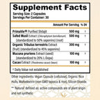 CHOQ Daily con 500mg PrimaVie Shilajit, Safed Musli y Tribulus - Suplemento Diario para Hombres, 60 Cápsulas Veganas