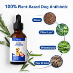 Antibióticos Naturales para Perros – Suplemento Herbal Orgánico en Gotas para Apoyo Inmunológico, Alergias, Piel, Digestión e Infecciones – Todas las Razas y Edades