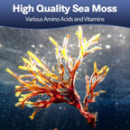 Totaria Cápsulas de Sea Moss 25 en 1, 120 Cápsulas por Frasco, 2 Frascos