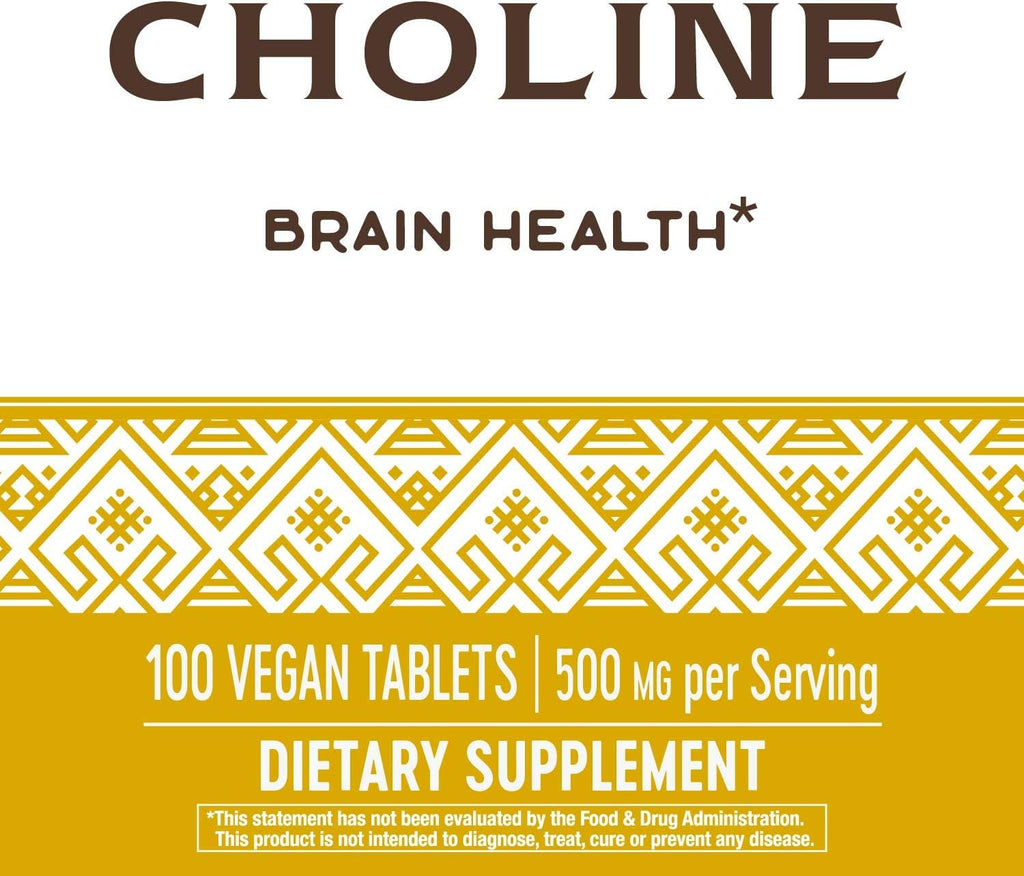 Nature's Way Choline, 500 mg per Serving, 100 Tablets (2-Pack)