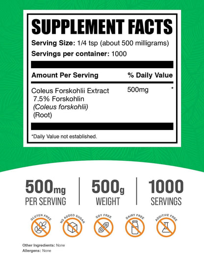 Extracto de Coleus Forskohlii en Polvo - Suplemento de Forskolina - 500g – Image 2