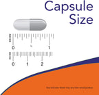 NOW Foods Acetil L-Carnitina 500 mg, 360 Cápsulas Vegetales - No OGM
