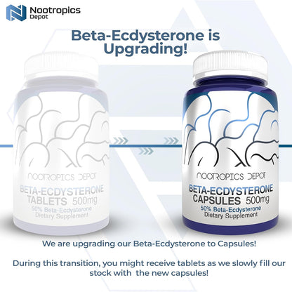 Beta-Ecdysterone 50% Cápsulas | 500 mg | – Salud articular y ósea : Estudios en animales sugieren que este – Image 3