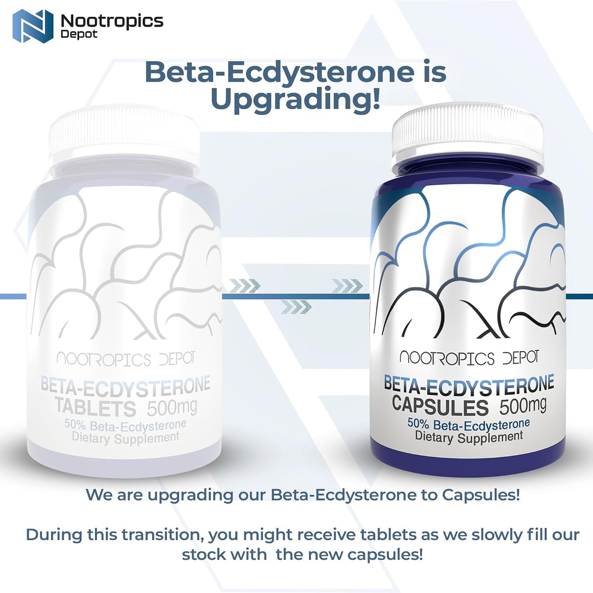 Nootropics Depot Beta Ecdysterone 50% - 500mg - 90 Cápsulas – Image 3