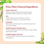 PURE SYNERGY Vita·Min·Herb for Men - Multivitamínico Completo para Hombres (120 Comprimidos)