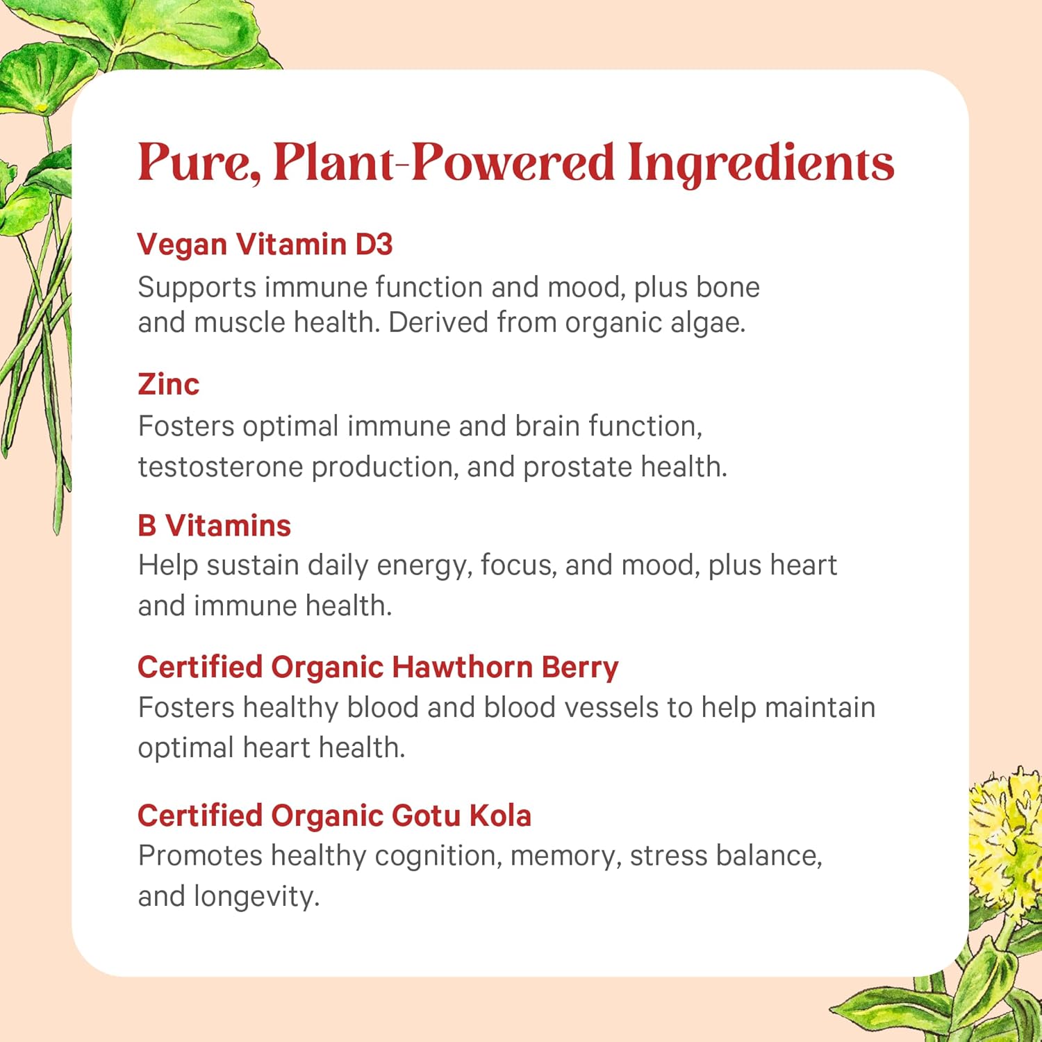 PURE SYNERGY Vita·Min·Herb for Men - Multivitamínico Completo para Hombres (120 Comprimidos)