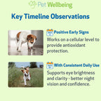 Pet Wellbeing Arándano (Bilberry) para Perros – 60 ml – Suplemento Líquido para la Visión y Salud Ocular