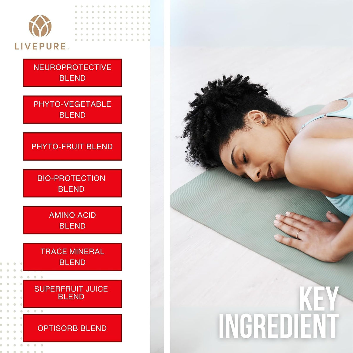 PURE Daily Build | Multivitamínico Avanzado – Vitalidad diaria: La fórmula completa aporta energía para afrontar – Image 4