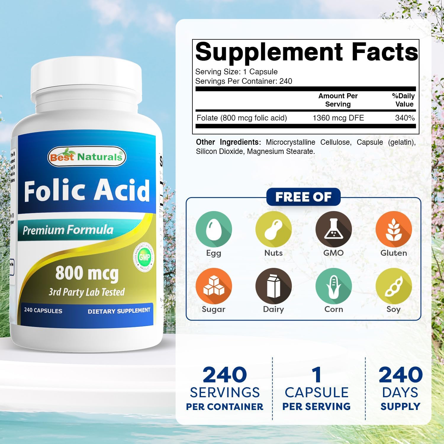 Folic Acid 800 mcg, 240 Capsules - Best Naturals