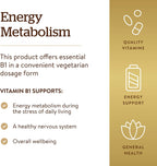 Solgar Vitamina B1 (Tiamina) 500 mg, 100 Comprimidos