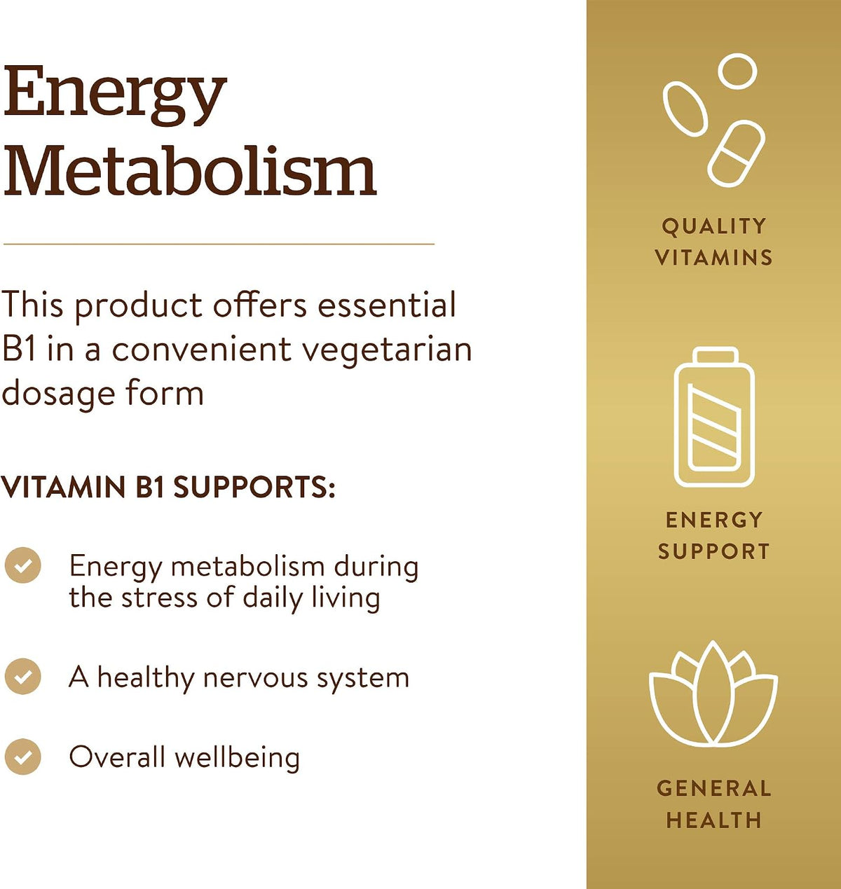 Solgar Vitamina B1 (Tiamina) 500 mg, 100 – Función cardíaca: La tiamina contribuye al funcionamiento normal del – Image 4