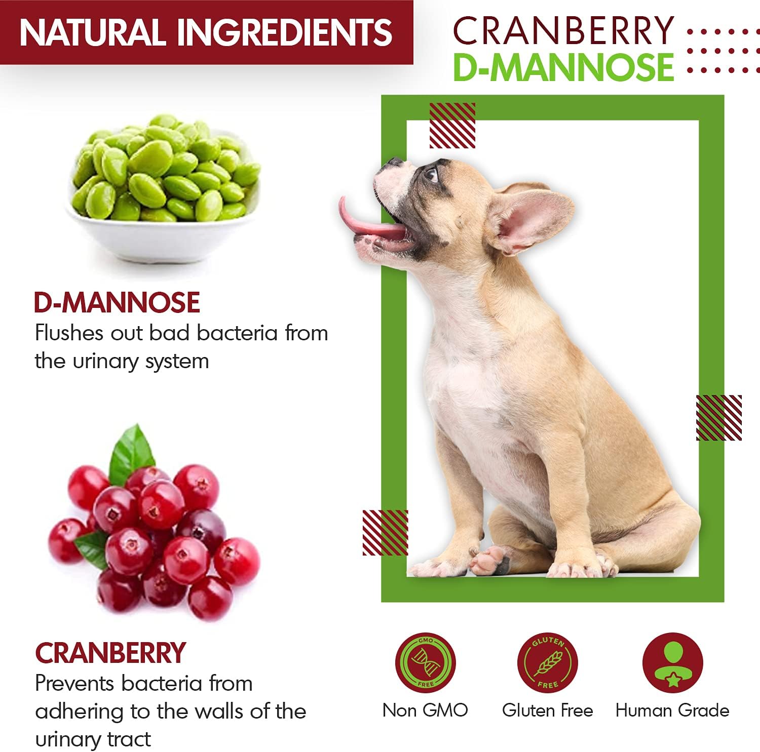 Cranberry D-Mannose para Perros y Gatos - Apoyo para el Tracto Urinario - 60 Comprimidos Masticables