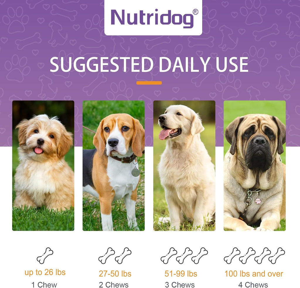 Nutridog Masticables Probióticos para Perros 120 uds – 6.000 millones UFC, 6 cepas, con Postbióticos EpiCor y Fibra de Calabaza – Sabor a Pato