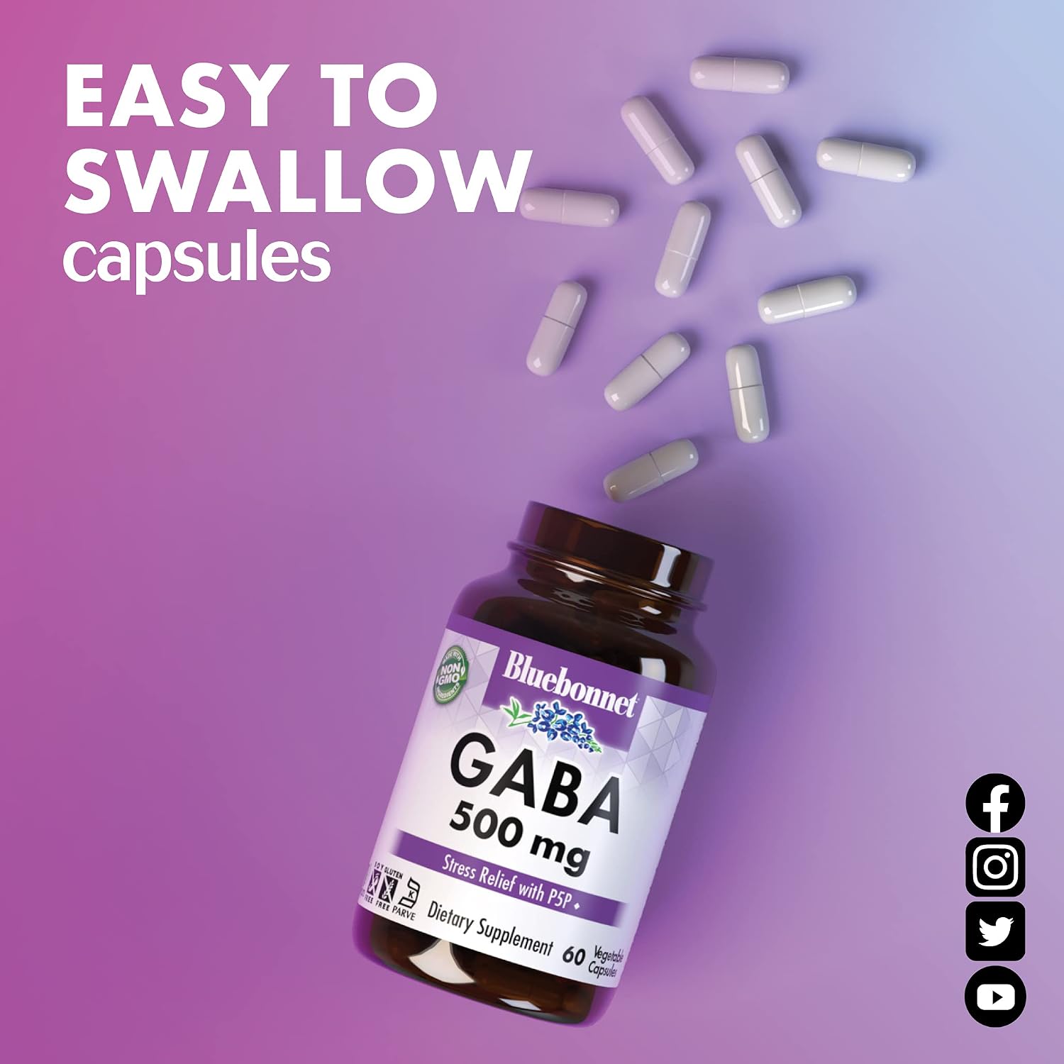 BlueBonnet Nutrition GABA 500mg con Vitamina B6 (P5P) - 60 Cápsulas Vegetales