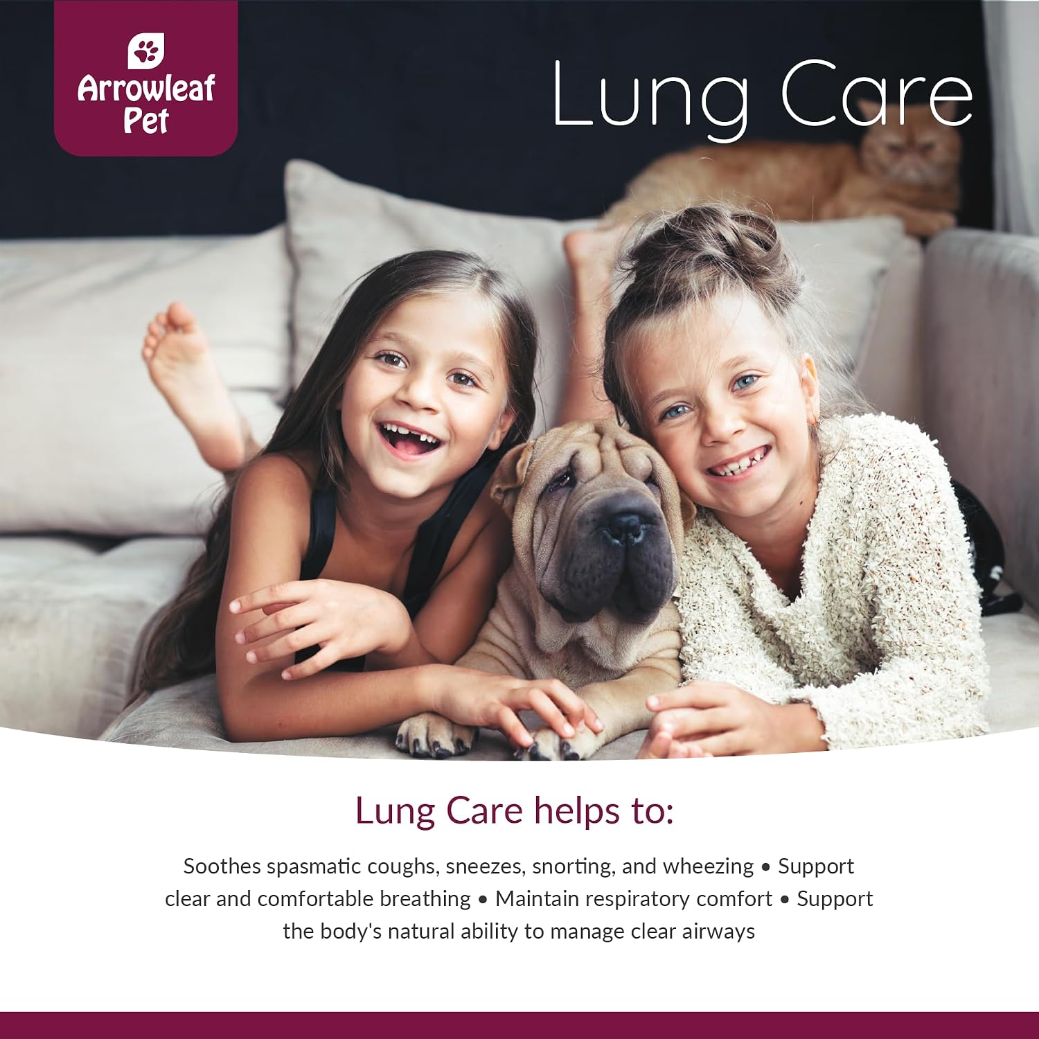 Lung Care de NaturPet Inc para Perros y Gatos | Tintura Herbal 100mL | Apoyo Respiratorio para Mascotas con Problemas de Respiración