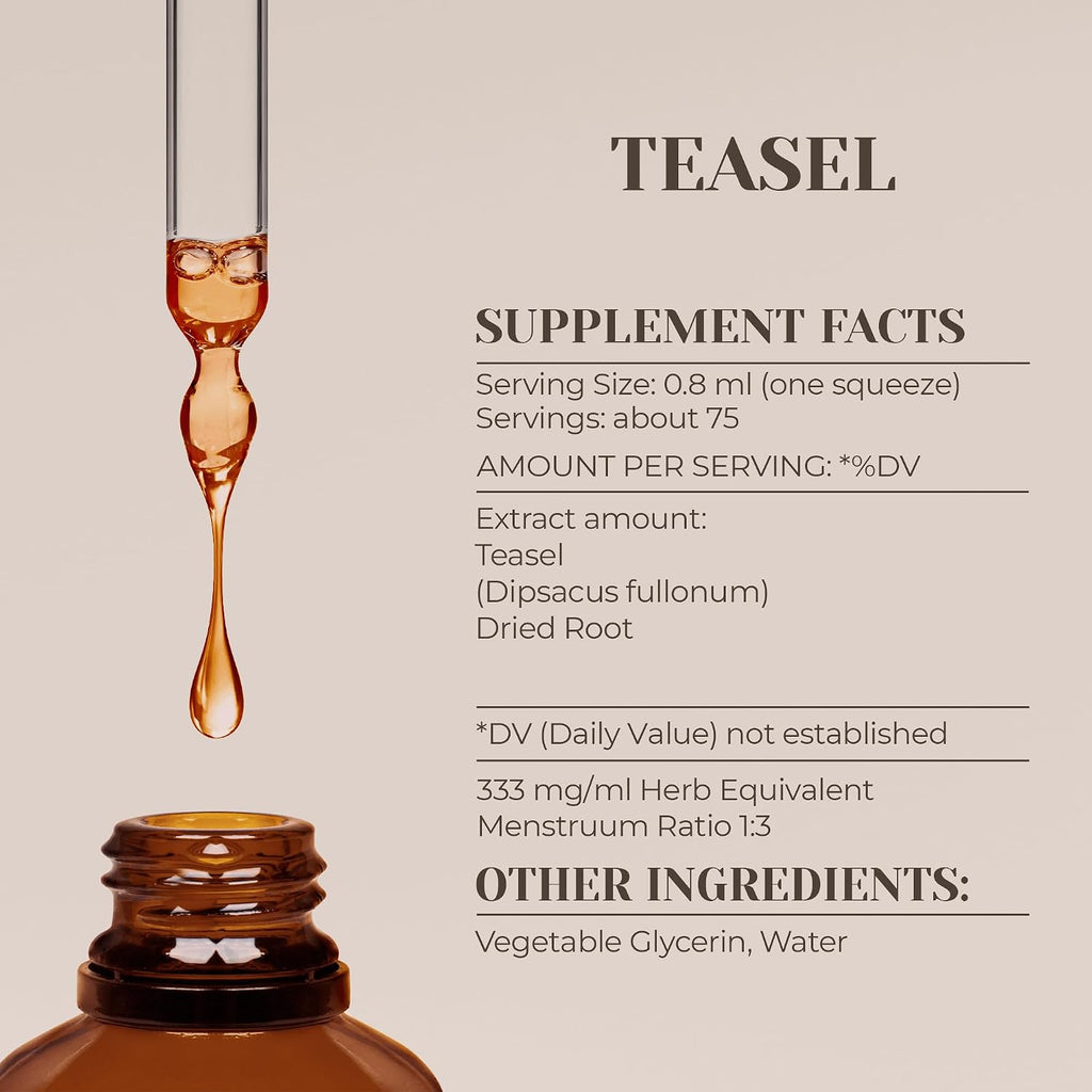 Extracto de Cardo (Teasel) Tintura Natural Sin Alcohol – Gotas Líquidas Puras 60 ml