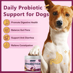Probióticos para Perros con 6 Mil Millones UFC, Prebióticos y Enzimas Digestivas, Calabaza y Omega-3, 120 Masticables Suaves