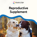 Breeder's Edge Get Him Going, Suplemento de Rendimiento Reproductivo para Perros y Gatos Machos, Apoya la Libido, Energía, Equilibrio Hormonal y Fertilidad, con Hierba de la Cabra, Maca, Ashwagandha, Fabricado en EE. UU., 30 ml