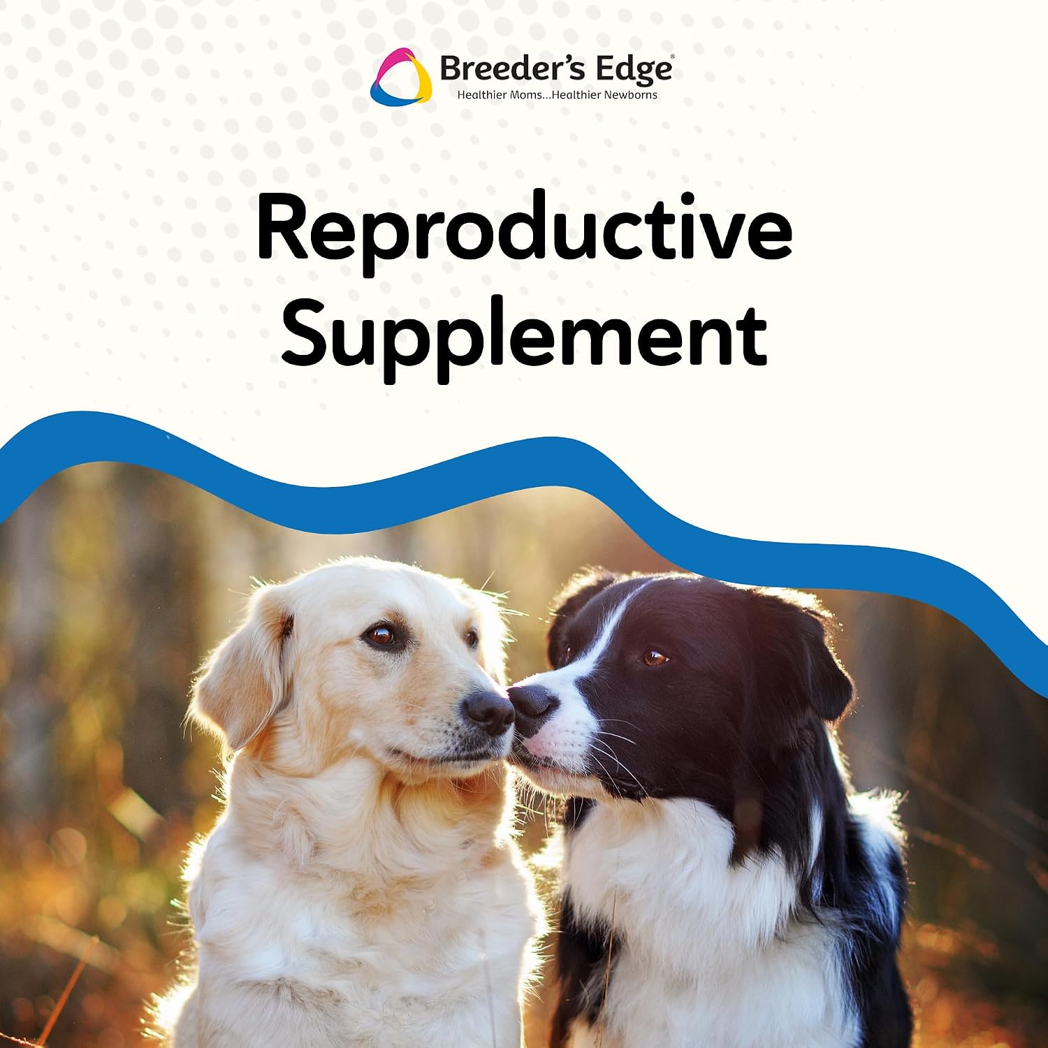 Breeder's Edge Get Him Going, Suplemento de Rendimiento Reproductivo para Perros y Gatos Machos, Apoya la Libido, Energía, Equilibrio Hormonal y Fertilidad, con Hierba de la Cabra, Maca, Ashwagandha, Fabricado en EE. UU., 30 ml
