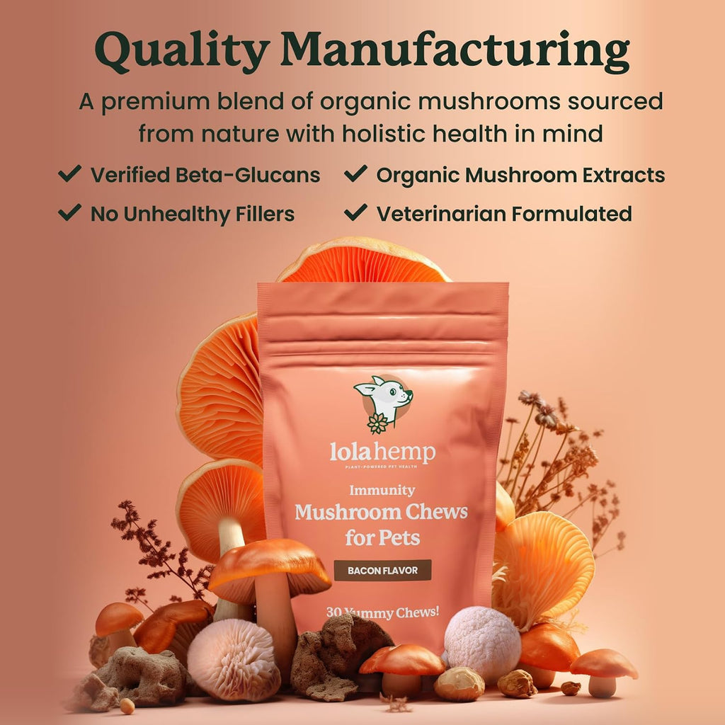Suplemento de setas para perros - Masticables con setas orgánicas para inmunidad y cognición - Cola de pavo, Reishi, Shiitake, Maitake, Melena de león