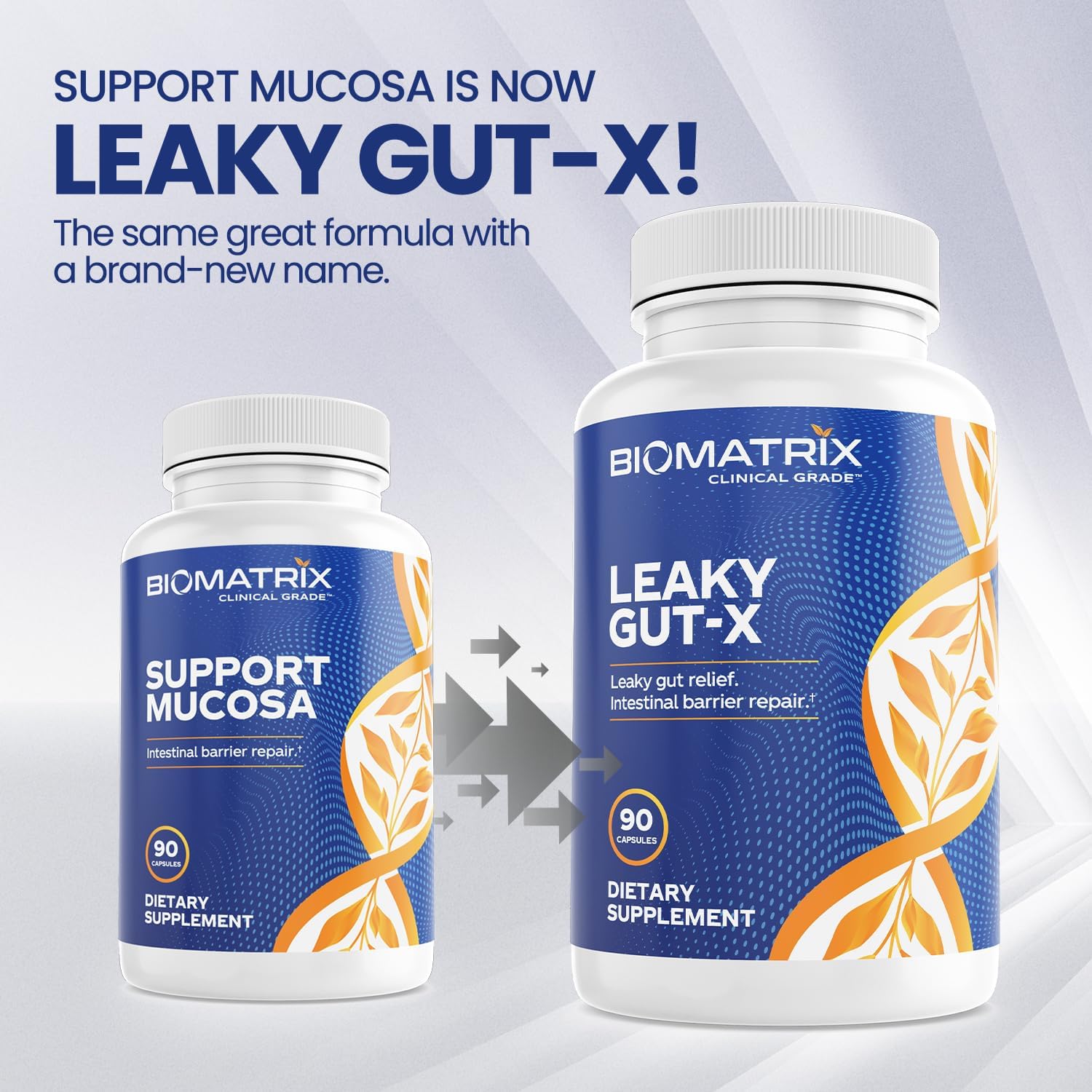 BioMatrix Leaky Gut-X - Complemento para la Reparación Intestinal con Glutamina, Quercetina, Uña de Gato, MSM, 60 Días