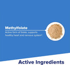 Superior Source Methylfolate 1,000 mcg - Folate Supplement for Women and Men - Active Methylfolate for Nervous System and Red Blood Cells - 60 Quick Dissolve Sublingual Tablets