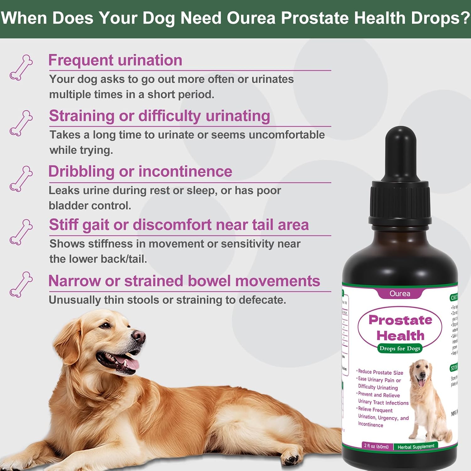 Ourea Gotas Prostáticas para Perros - Suplemento Herbal Líquido