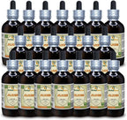 Jujube (Ziziphus Jujuba) Glicerito - Extracto Líquido Sin Alcohol - 5x60 ml