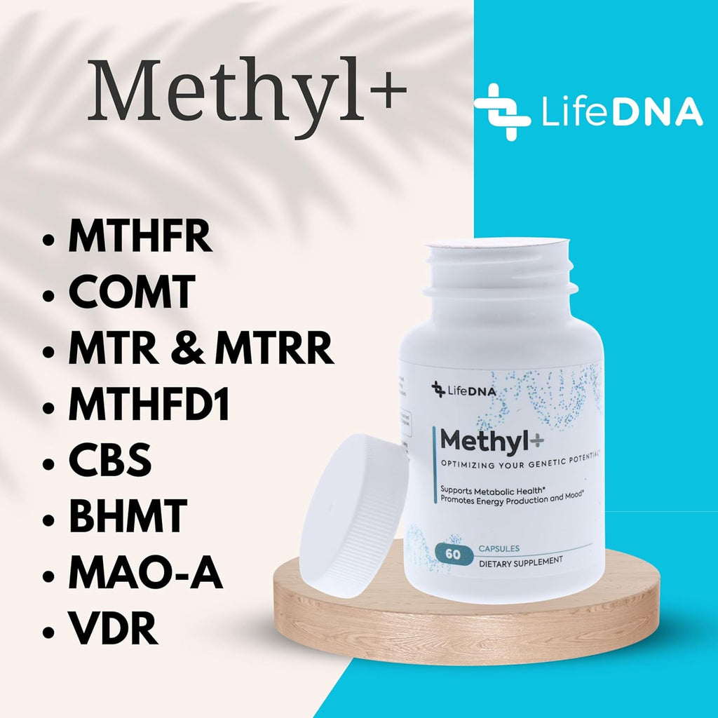 LIFEDNA Methyl + Methylfolate - Methylated Folate Vitamins Active 5-MTHF TMG Optimized Homocysteine, Brain, Cardiovascular Highly Bioavailable, MTHFR Supplement