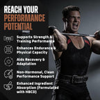 Turkesterone y Ecdysterone – Potenciador Natural de Testosterona, 2-en-1 de Alta Potencia con 95% Beta Ecdysterone – 180 Cápsulas