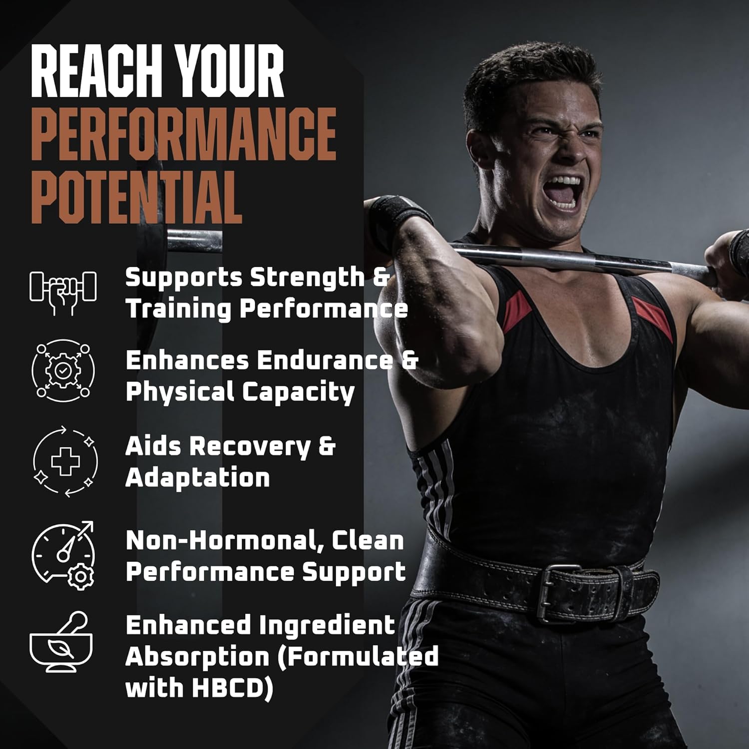 Turkesterone y Ecdysterone – Potenciador Natural de Testosterona, 2-en-1 de Alta Potencia con 95% Beta Ecdysterone – 180 Cápsulas