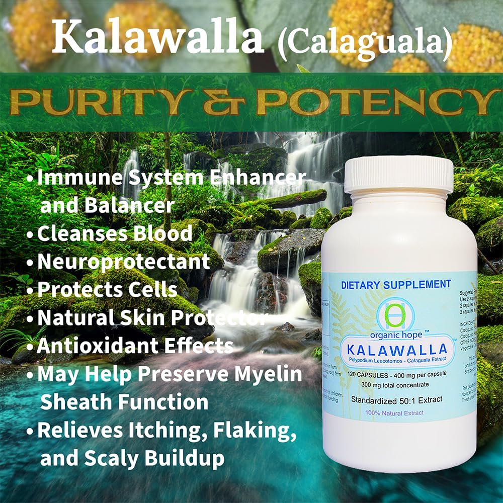 Kalawalla Organic Hope Polypodium Leucotomos 50:1 - 120 Cápsulas Veganas