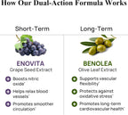Durable Blood Pressure - Benolea Olivo y Enovita Uva