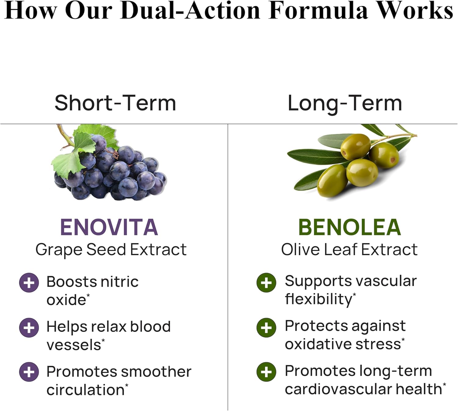 Durable Blood Pressure - Benolea Olivo y Enovita Uva