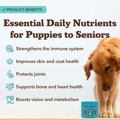 Natural Dog Company 25-in-1 Multivitamin for Dogs – Golosinas blandas formuladas por veterinarios para cachorros, adultos y – Image 9