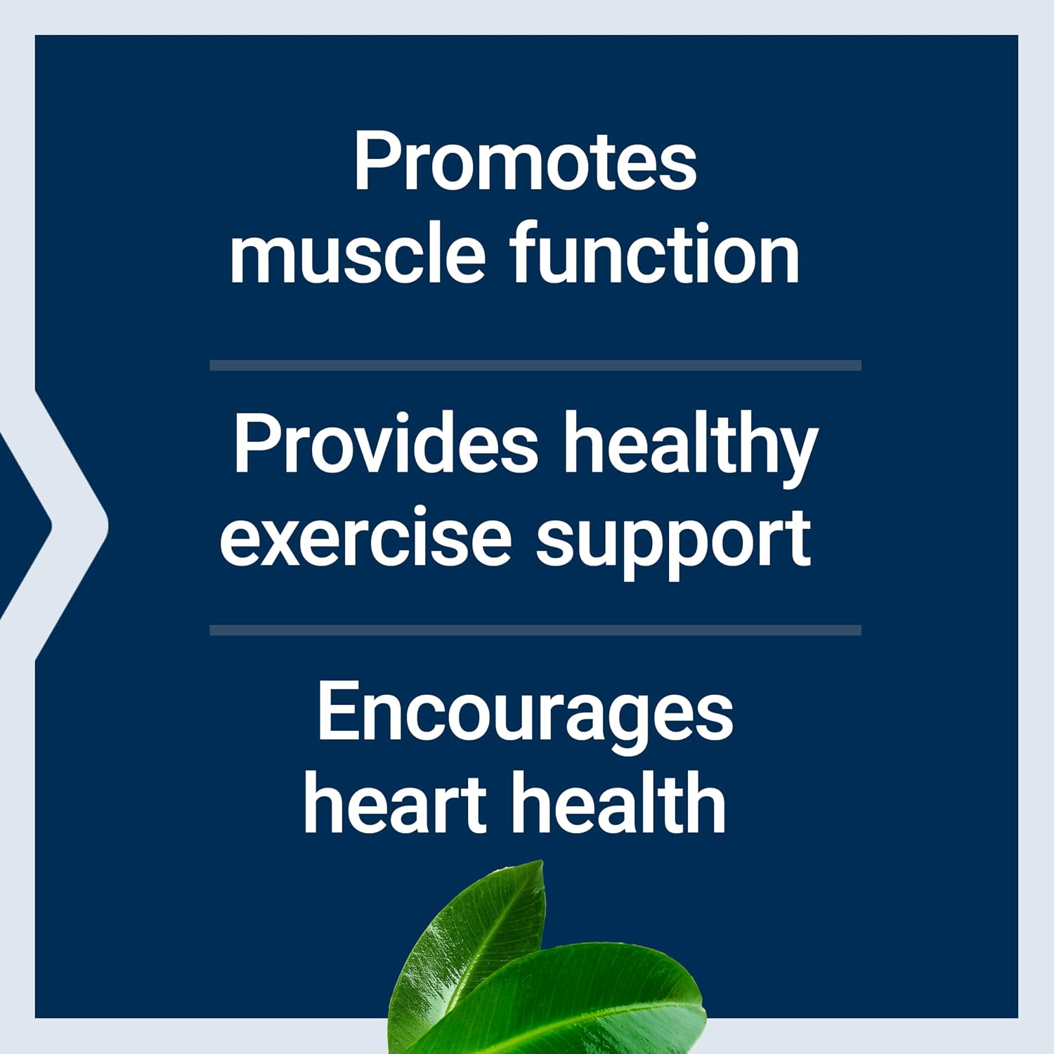 Life Extension Super Carnosine, L-Carnosine, Luteolin, Vitamin B1, 60 Capsules