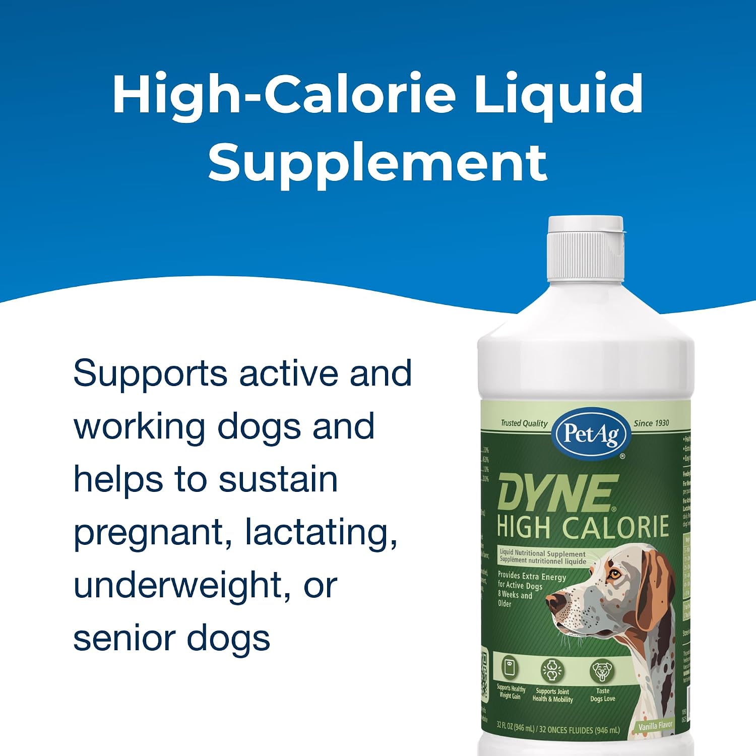 Pet-Ag Dyne Suplemento Líquido de Alto Contenido Calórico para Perros y Cachorros - Pack de 2 - 946 ml - Sabor Vainilla